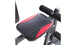Home Gym inSPORTline ProfiGym N10