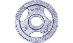 Steel weight for gripper 30mm inSPORTline Hamerton 1.25kg