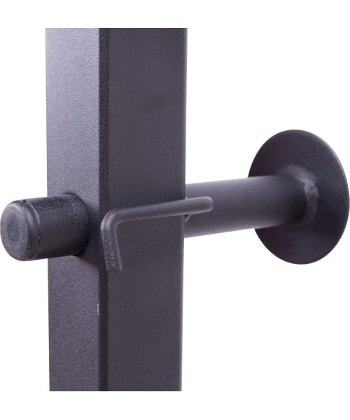 Multi-Purpose Dip Station inSPORTline Power Tower X150