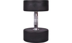 Hantel inSPORTline Pro 28 kg