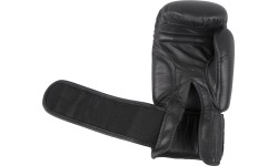 Poksikindad Spartan Top Ten, 12 oz