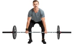 Laagri haarats inSPORTline OLYMPIC OB-86 PCMC