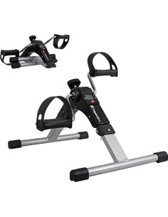 Mini Exercise Bike inSPORTline Raryo