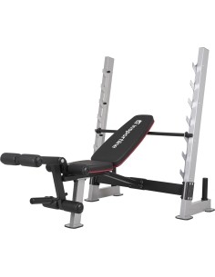 Universaalne pink inSPORTline Hero B130