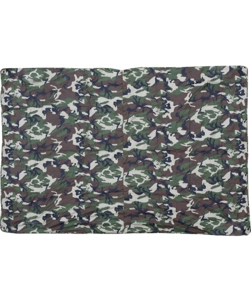 Tarpaulin Cattara Waterproof 2x3m