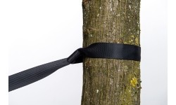 Rihm TREE HUGGER, Amazonas