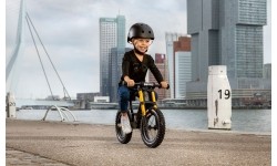 BERG Biky Cross Grey Handbrake