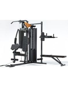 Home Gym inSPORTline ProfiGym C60