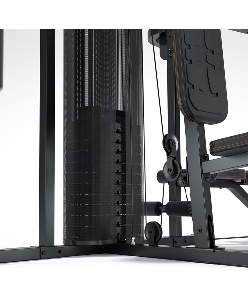 Home Gym inSPORTline ProfiGym C60