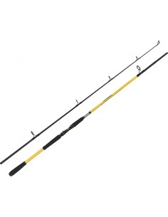 Õng Zfish Kodiak 2,40 m/100-250 g