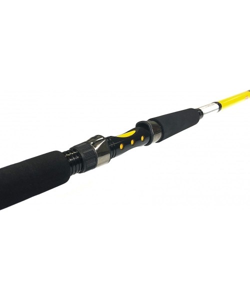 Zfish Rod Kodiak 2,40m/100-250g