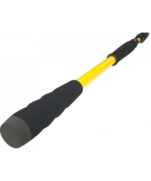Zfish Rod Kodiak 2,40m/100-250g
