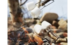 Light My Fire vanaisa FireFork Bio, roheline ja roosa