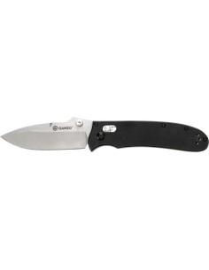 Folding Knife Ganzo Firebird F704-BK