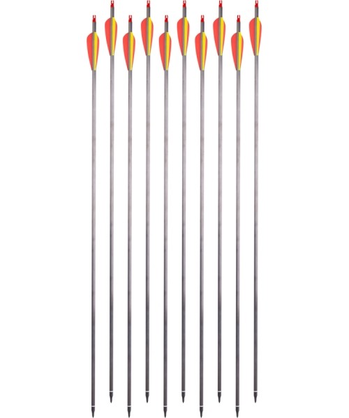 Süsinikkiust nooled keeratavate otstega inSPORTline Carbison 30", 10 tk, punakaskollased