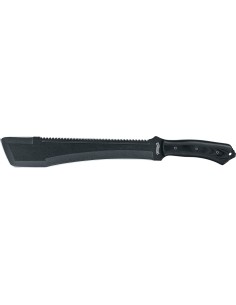 Matšeete Walther MSM