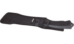 Matšeete Walther MSM
