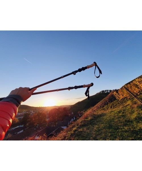 Origin Outdoors Trekking Poles 'Micro-Fold'