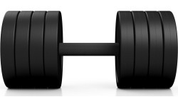 Steel Rubberised Dumbbell Marbo Sport, 32.5kg, Red 