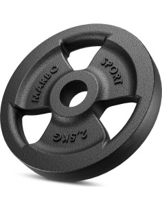 Terasest inSPORTline kettad Marbo Sport: Ketaus svoris Marbo Sport 2,5 kg