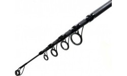 Carp Fishing Rod Zfish Kingstone 3.60m
