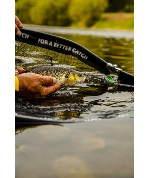 Net Zfish Landing DLX 160cm
