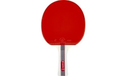 Lauatennise reket inSPORTline Shootfair S3