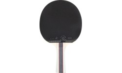 Lauatennise reket inSPORTline Shootfair S3