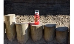 Bottle SIGG Viva Kids One 0.5L, Horses