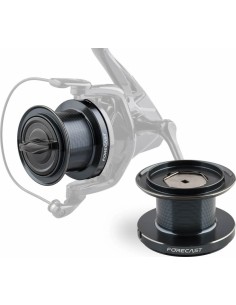 ZFISH varupool Forecast XFR 10 000