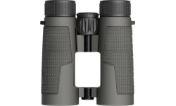 Binoklid Leupold BX-4 Pro Guide HD 10x42