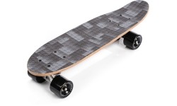 skateboard mona lisa