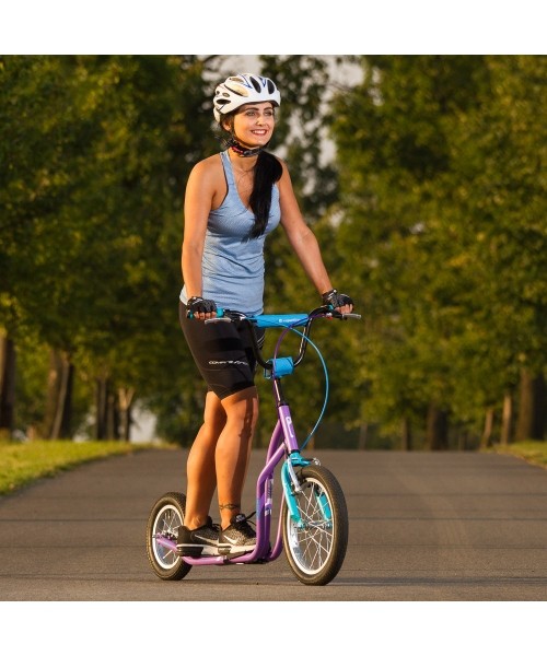 Kick Scooter inSPORTline Suter SE Green