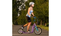 Kick Scooter inSPORTline Suter SE Green
