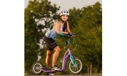 Kick Scooter inSPORTline Suter SE Black-Yellow