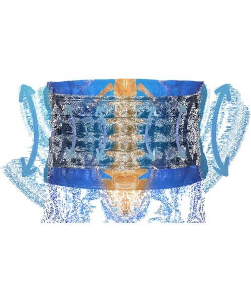 Decompression Lumbar Support Brace inSPORTline Lombes