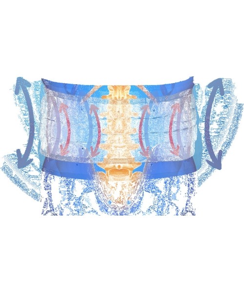 Decompression Lumbar Support Brace inSPORTline Ronyo