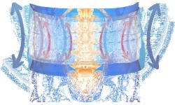 Decompression Lumbar Support Brace inSPORTline Ronyo