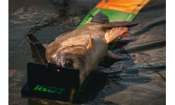 Kalapüügikaal ZFISH Challenger