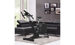 Exercise Bike inSPORTline ZenRoute 1000