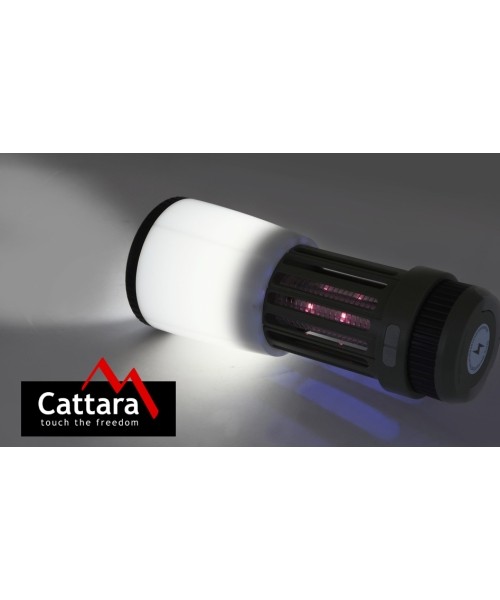 Flashlight PLUM retractable rechargeable + insect catcher
