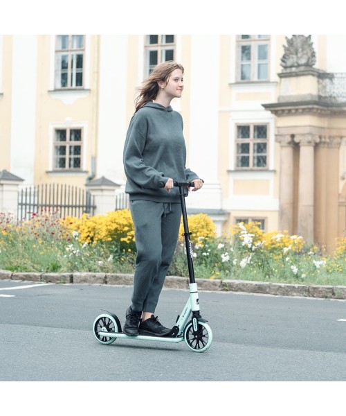 Tõukeratas inSPORTline Wayomint