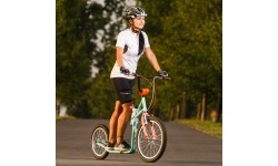 Kick Scooter inSPORTline Drogo SE Black-Blue