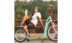 Kick Scooter inSPORTline Drogo SE Black-Blue