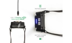 ZFISH pealamp Lumenix