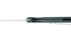 Kokkupandav nuga Ganzo Firebird FH11-GB