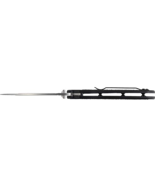 Kokkupandav nuga Kershaw Blur 1670S30V