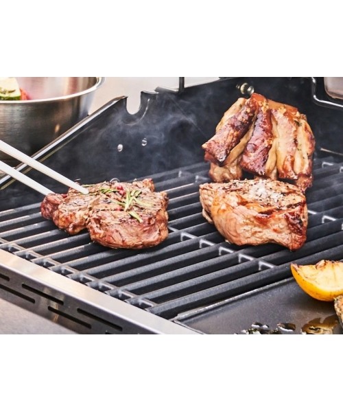 Char-Broil Professional Pro S 2 gas grill