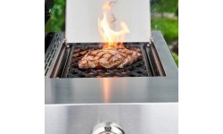 Gaasigrill Char-Broil Professional Pro S 3