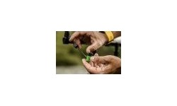 Varuraskused ZFish, 15 g, 2 tk